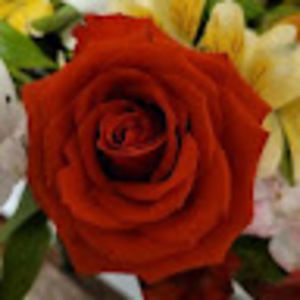 Meet your Posher, Cheryl